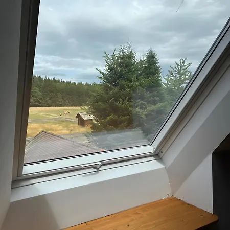 Falken Nest * Eisenbach