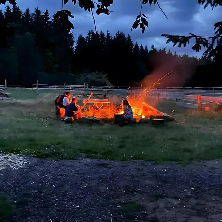 Apartment Falken Nest