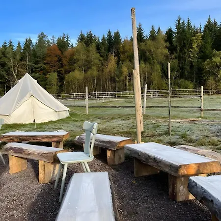 Falken Nest Apartment *