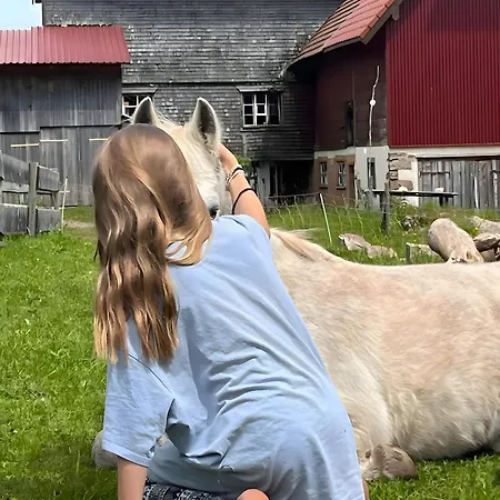 Apartman Falken Nest *