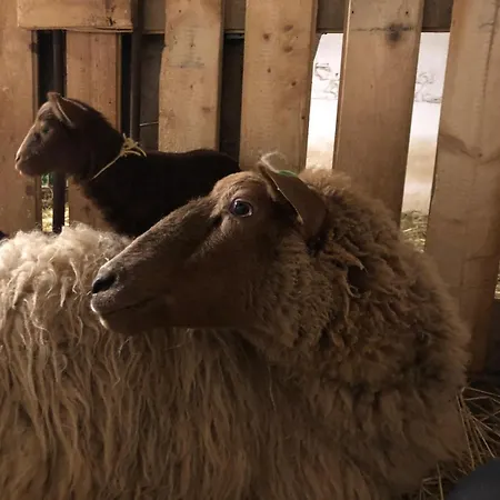 Falken Nest Apartman Eisenbach