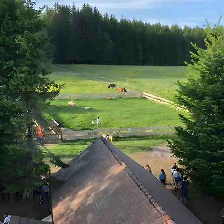 Falken Nest Eisenbach