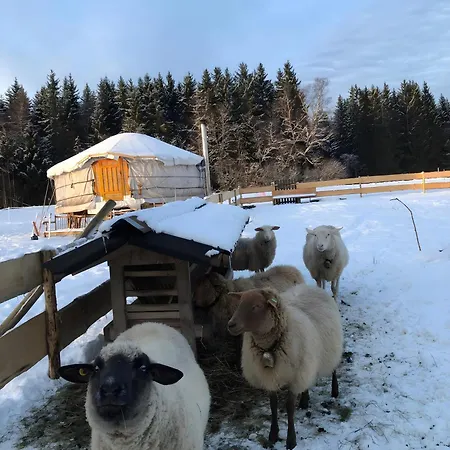 Falken Nest * Eisenbach (Breisgau-Hochschwarzwald)