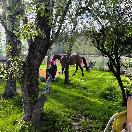 Falken Nest Apartment Eisenbach (Breisgau-Hochschwarzwald)