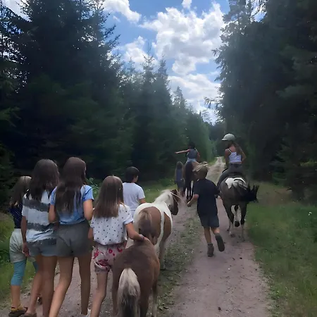 Falken Nest Apartment