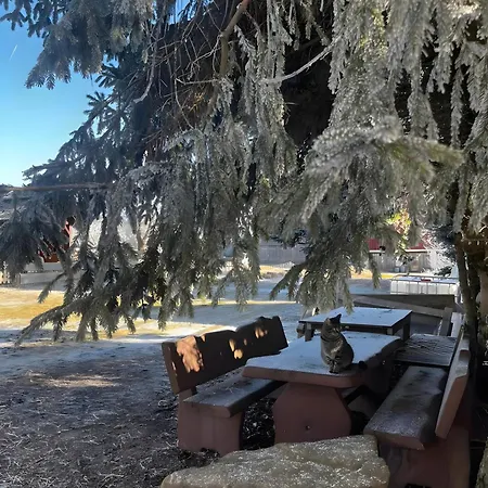 Falken Nest * Eisenbach (Breisgau-Hochschwarzwald)