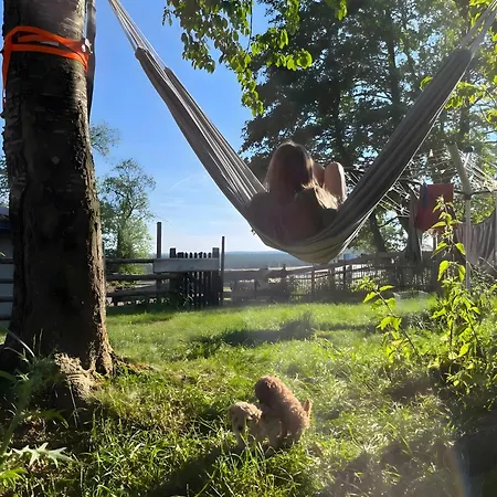 Apartman Falken Nest