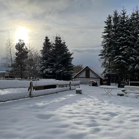 Falken Nest Eisenbach (Breisgau-Hochschwarzwald)
