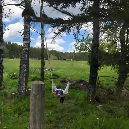 Apartment Falken Nest