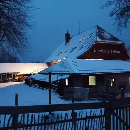 Falken Nest Apartment *