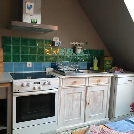 Falken Nest Eisenbach (Breisgau-Hochschwarzwald)