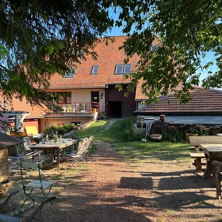 Falken Nest Apartman